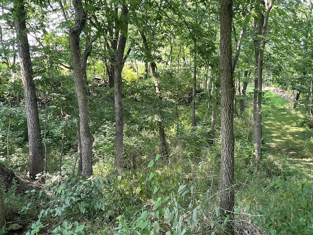 3761 Fry Rd, Ostrander, OH 43061 - photo 27