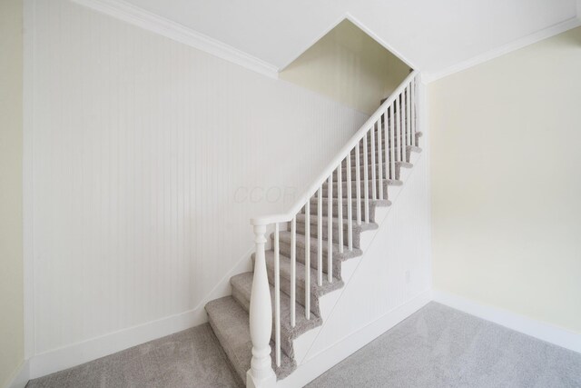11 E Main St, Sparta, OH 43350 - stairway featuring carpet and ornamental molding