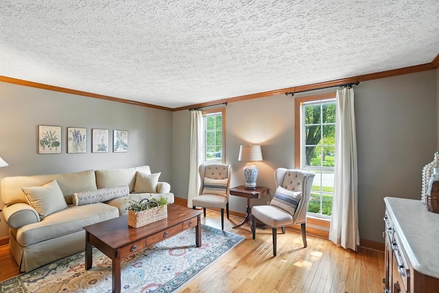 1482 Buckpoint Ln, Worthington, OH 43085 - living room featuring ornamental molding, light wood-type flooring, and a textured ceiling