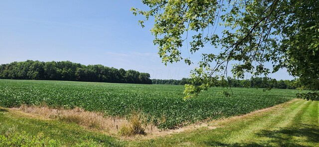 0 S Marion St, Bloomville, OH 44818 - photo 4