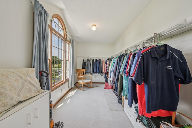 6281 Davis Dr, Newark, OH 43056 - walk in closet with carpet flooring