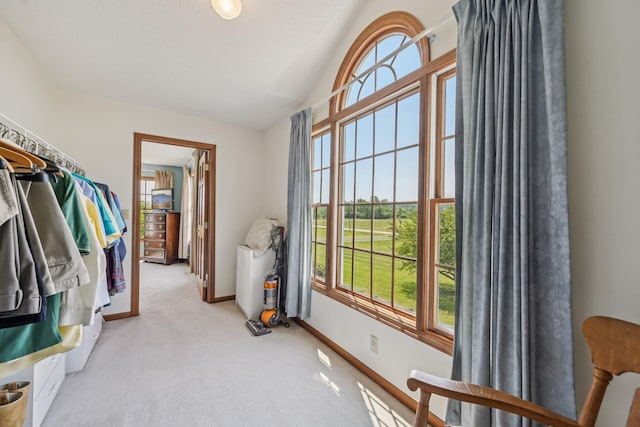6281 Davis Dr, Newark, OH 43056 - walk in closet with lofted ceiling and light colored carpet
