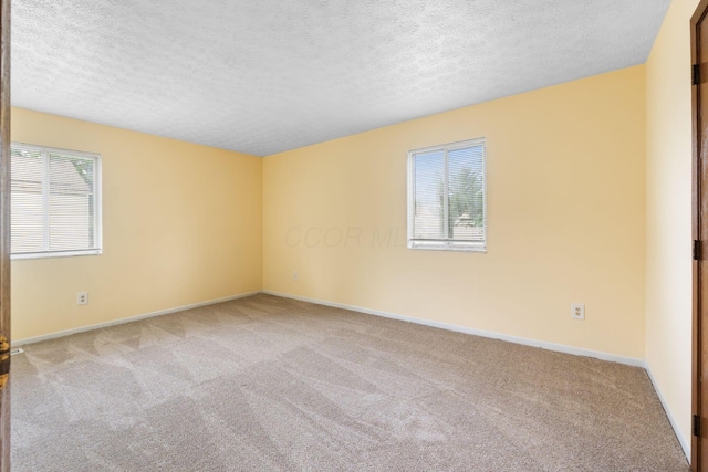 5198 Dierker Rd Unit D, Columbus, OH 43220 - empty room with carpet floors, healthy amount of natural light, and a textured ceiling
