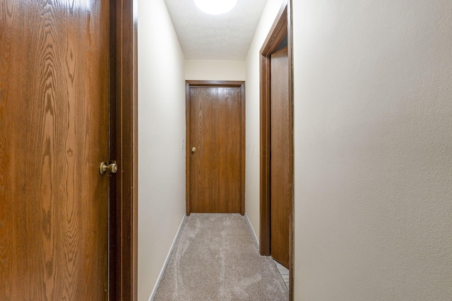 5198 Dierker Rd Unit D, Columbus, OH 43220 - hall featuring light carpet and baseboards