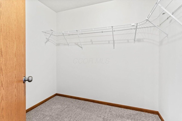 1280 Kariba Dr, Columbus, OH 43207 - spacious closet with carpet floors
