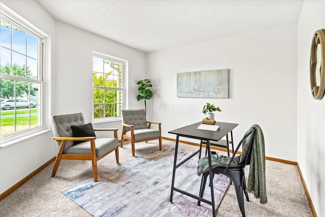 1280 Kariba Dr, Columbus, OH 43207 - office featuring plenty of natural light, light carpet, and a textured ceiling