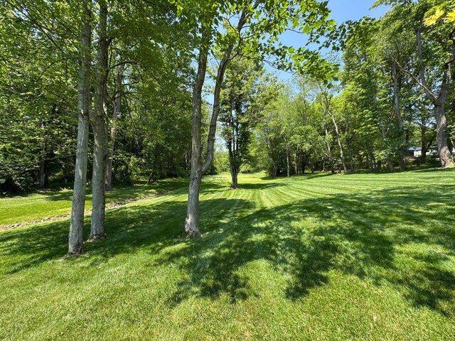 14647 Indian Hills Rd, Mount Vernon, OH 43050 - photo 72