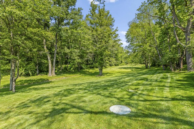 14647 Indian Hills Rd, Mount Vernon, OH 43050 - photo 70