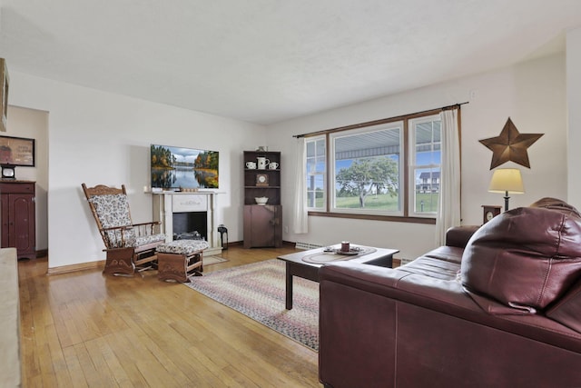 17519 Thompson Ridge Rd, Laurelville, OH 43135 - living area featuring wood-type flooring and a fireplace