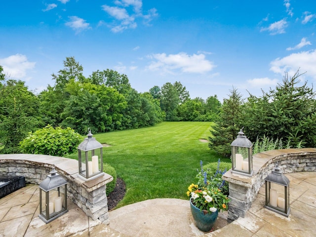 8105 Jitterbug Ln, Pickerington, OH 43147 - view of grassy yard featuring a patio