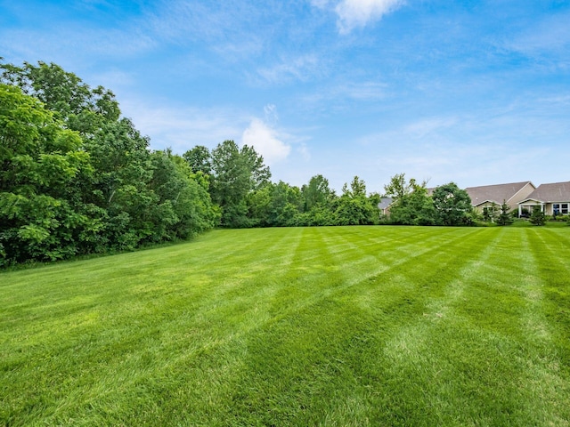 8105 Jitterbug Ln, Pickerington, OH 43147 - view of grassy yard