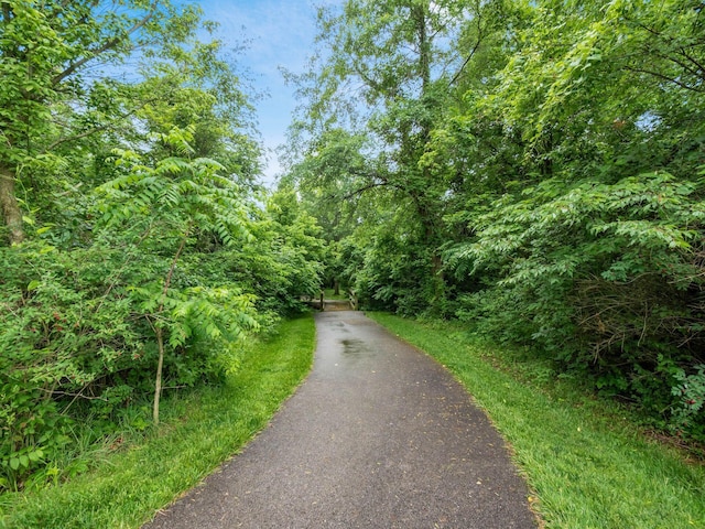 8105 Jitterbug Ln, Pickerington, OH 43147 - view of street featuring a forest view