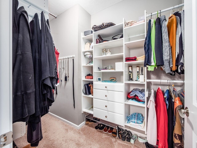 8105 Jitterbug Ln, Pickerington, OH 43147 - spacious closet with carpet