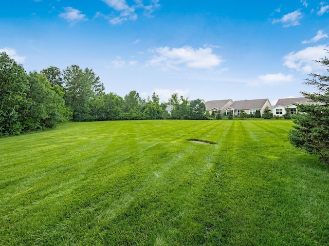 8105 Jitterbug Ln, Pickerington, OH 43147 - view of green lawn