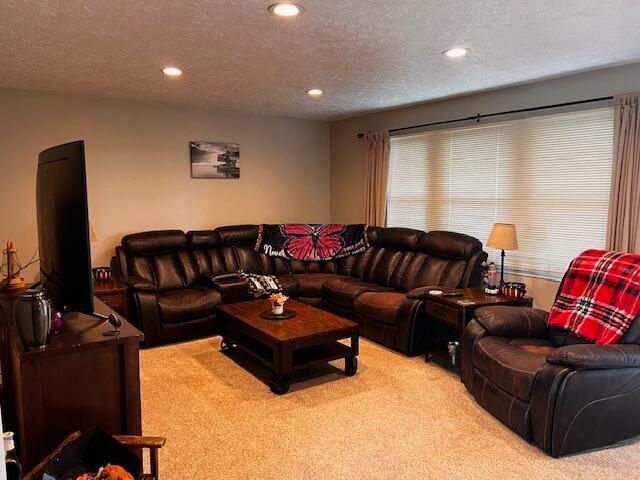 67682 Morristown Flushing Rd, Belmont, OH 43718 - living area featuring a textured ceiling, carpet floors, and recessed lighting