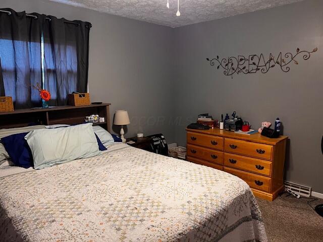 67682 Morristown Flushing Rd, Belmont, OH 43718 - bedroom with carpet floors and a textured ceiling