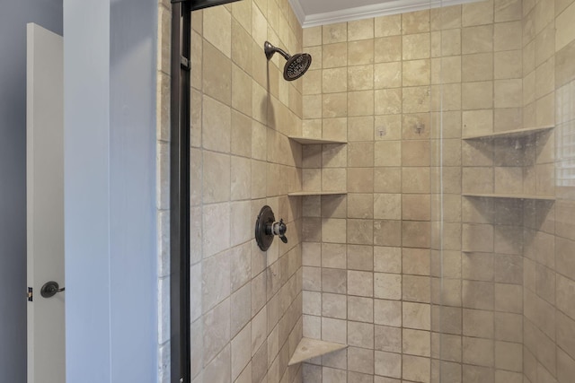 4329 Wyandotte Woods Blvd, Dublin, OH 43016 - bathroom view of ornamental molding and a tile shower