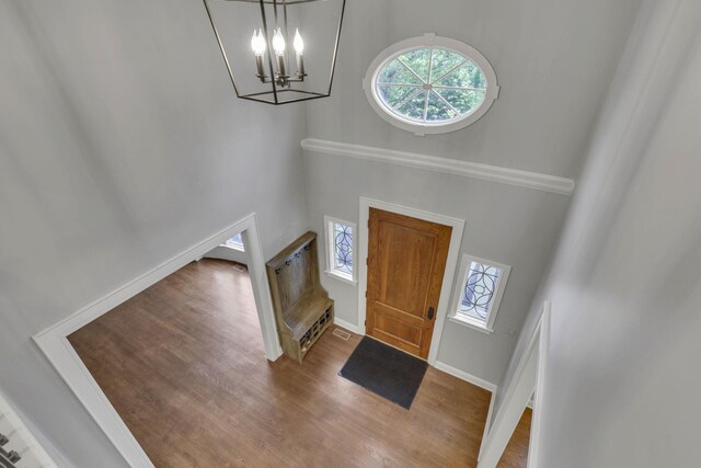 4329 Wyandotte Woods Blvd, Dublin, OH 43016 - entrance foyer featuring a towering ceiling, plenty of natural light, a chandelier, and wood finished floors