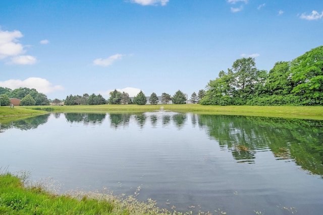 786 Spring Valley Dr, Lewis Center, OH 43035 - water view