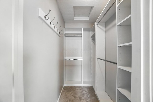 5632 Middle Falls St, Dublin, OH 43016 - walk in closet featuring carpet flooring