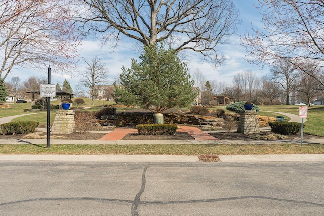 6057 Lakes At Taylor Station Dr, Columbus, OH 43213 - view of yard