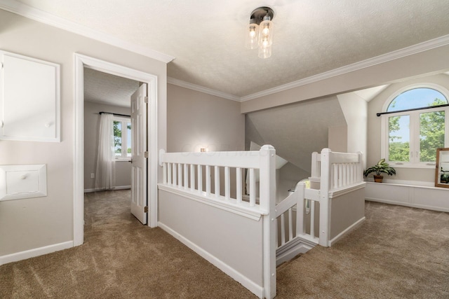 4909 Bixby Rd, Groveport, OH 43125 - hall with carpet floors, an upstairs landing, crown molding, and a textured ceiling