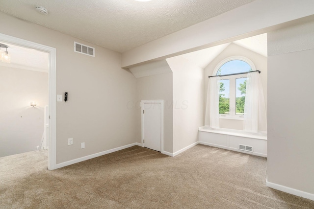 4909 Bixby Rd, Groveport, OH 43125 - additional living space with carpet floors, lofted ceiling, and a textured ceiling