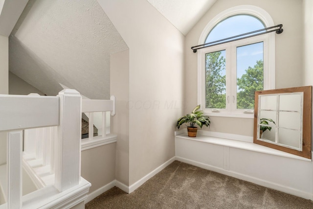 4909 Bixby Rd, Groveport, OH 43125 - hall with lofted ceiling, plenty of natural light, and carpet flooring