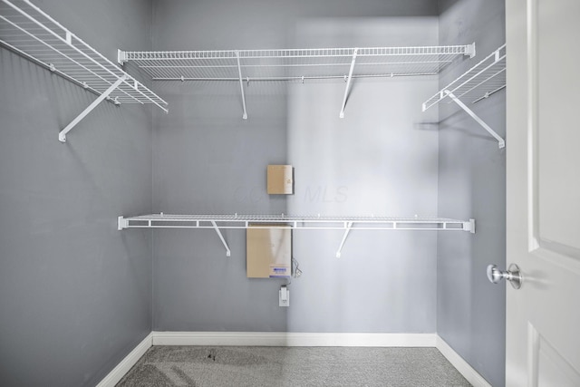 6067 Hayden Farms Rd, Dublin, OH 43016 - walk in closet featuring carpet