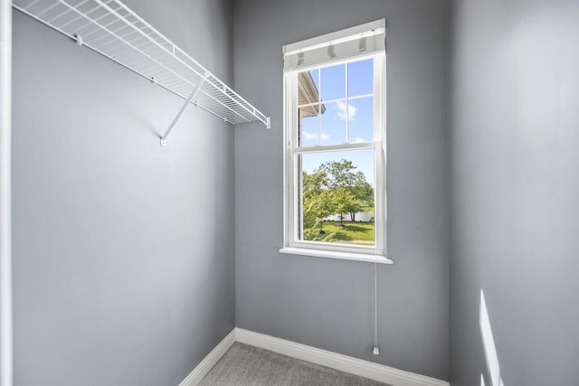 6067 Hayden Farms Rd, Dublin, OH 43016 - spacious closet with carpet