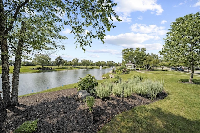 6067 Hayden Farms Rd, Dublin, OH 43016 - water view
