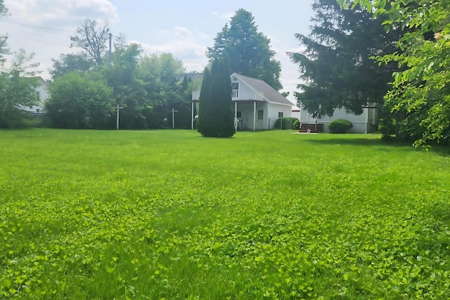 538 N Main St, Ada, OH 45810 - view of green lawn