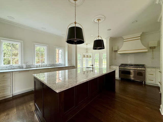 4945 Yantis Dr, New Albany, OH 43054 - kitchen with double oven range, custom range hood, dark wood-type flooring, tasteful backsplash, and ornamental molding