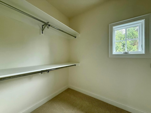 4945 Yantis Dr, New Albany, OH 43054 - walk in closet featuring light carpet