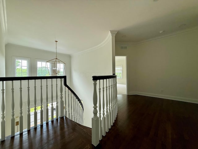 4945 Yantis Dr, New Albany, OH 43054 - corridor featuring an upstairs landing, plenty of natural light, a chandelier, wood finished floors, and ornamental molding