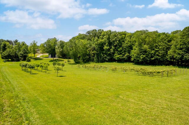 1653 State Route 60, Ashland, OH 44805 - photo 55