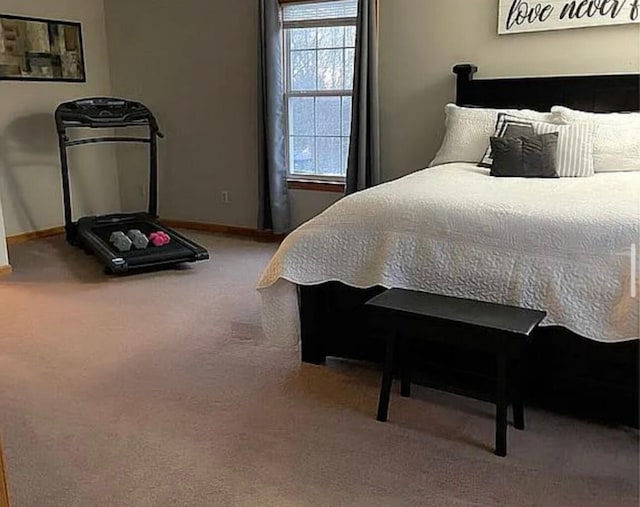 25327 Morris Salem Rd, Circleville, OH 43113 - bedroom featuring baseboards and carpet flooring
