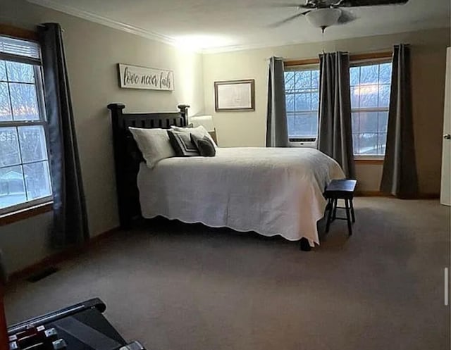 25327 Morris Salem Rd, Circleville, OH 43113 - carpeted bedroom with crown molding and a ceiling fan