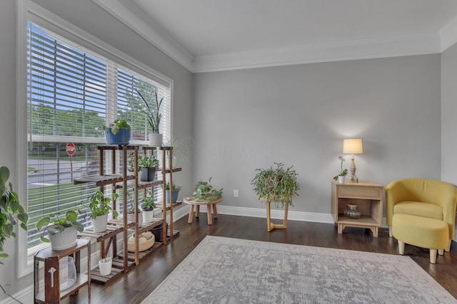 9606 Ireland Ct, Powell, OH 43065 - living area with crown molding and wood finished floors