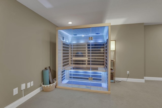 9606 Ireland Ct, Powell, OH 43065 - detailed view of carpet flooring and recessed lighting
