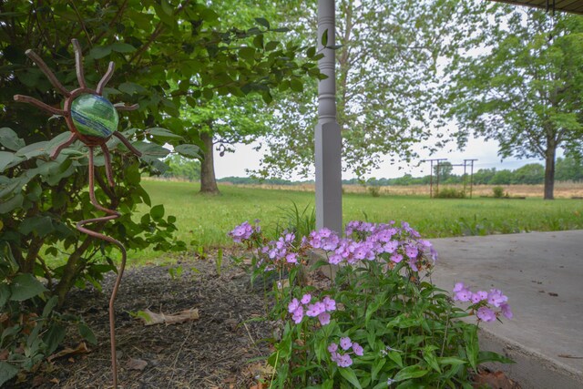 2987 Old Clifton Rd, Springfield, OH 45502 - photo 79
