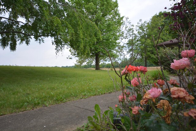 2987 Old Clifton Rd, Springfield, OH 45502 - photo 82