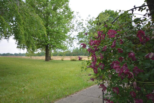2987 Old Clifton Rd, Springfield, OH 45502 - photo 83