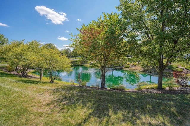 5428 Tathwell Dr, New Albany, OH 43054 - water view