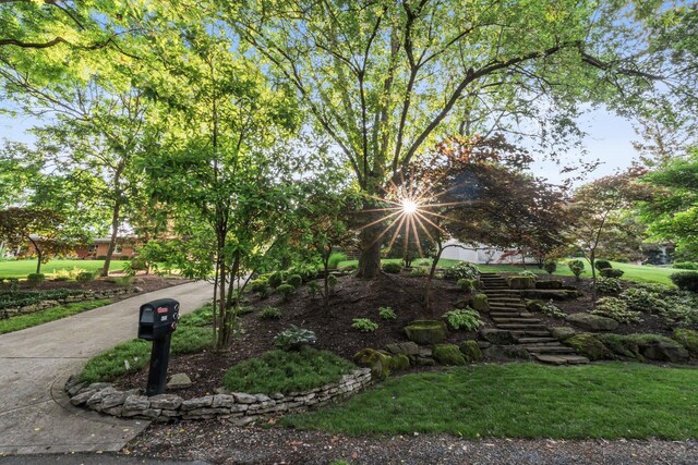 4317 Olentangy River Rd, Columbus, OH 43214 - photo 42