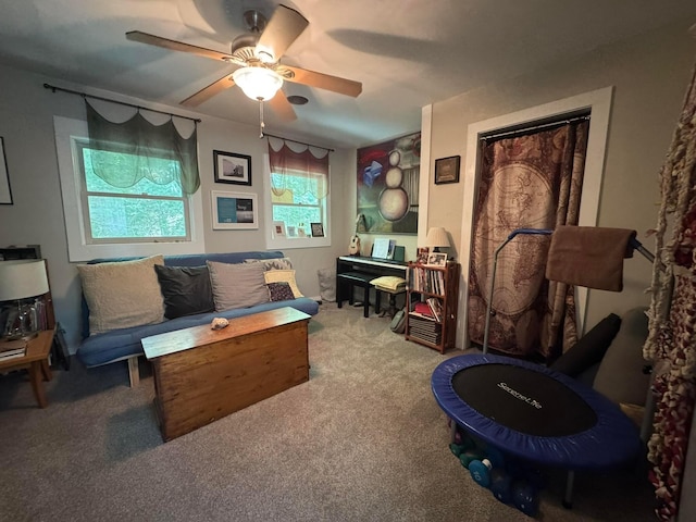 6598 Jeff Ln, Athens, OH 45701 - carpeted living area with ceiling fan