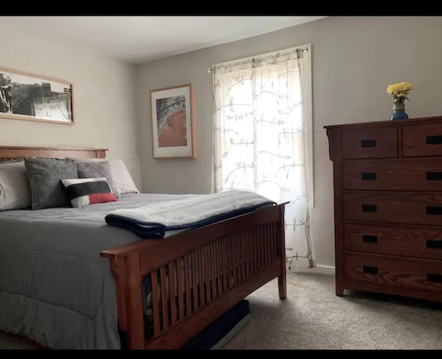 6598 Jeff Ln, Athens, OH 45701 - view of carpeted bedroom