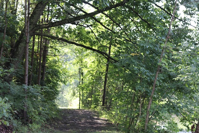 6598 Jeff Ln, Athens, OH 45701 - view of wooded area