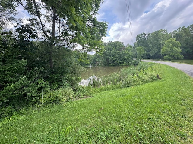 6598 Jeff Ln, Athens, OH 45701 - water view featuring a forest