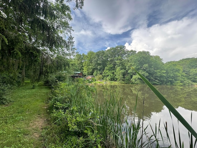 6598 Jeff Ln, Athens, OH 45701 - water view with a forest